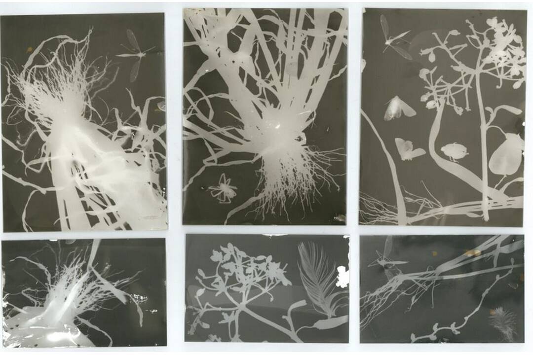 FOTO: Biela noc 2024, foto 7