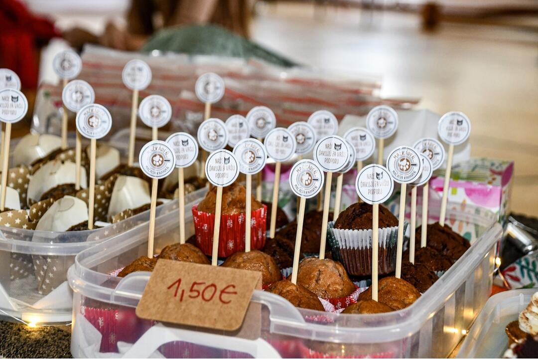 FOTO: Jablkové hodovanie v Pezinku 2024, foto 5