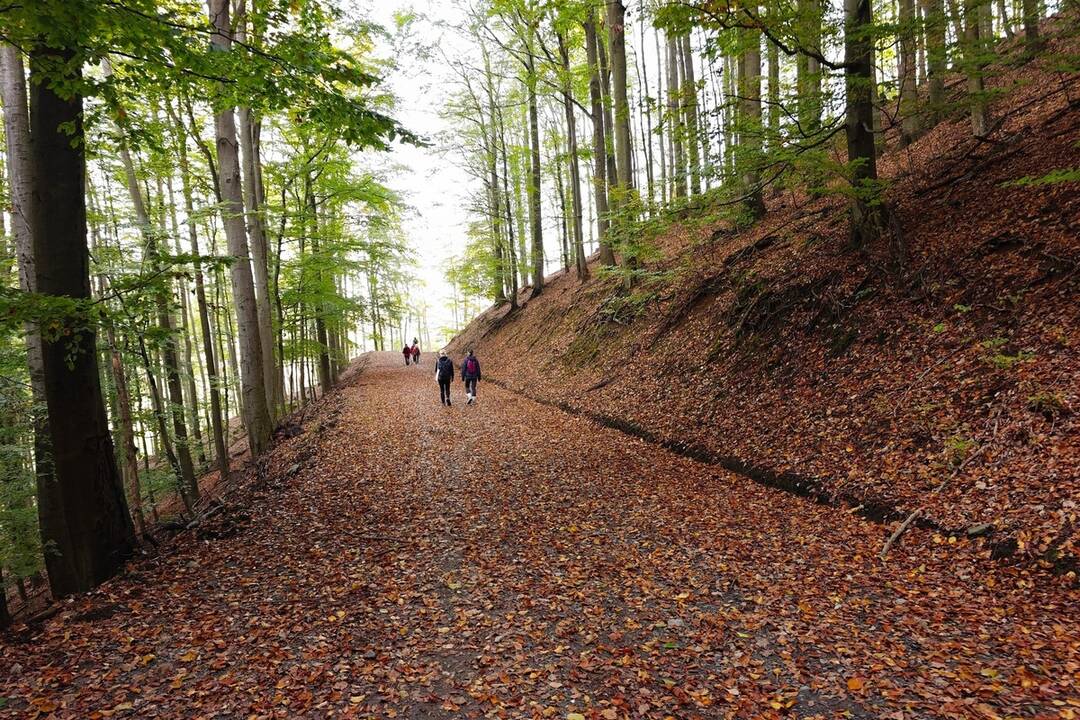 FOTO: Medzi Pernekom a Pezinkom otvorili cyklochodník, foto 9