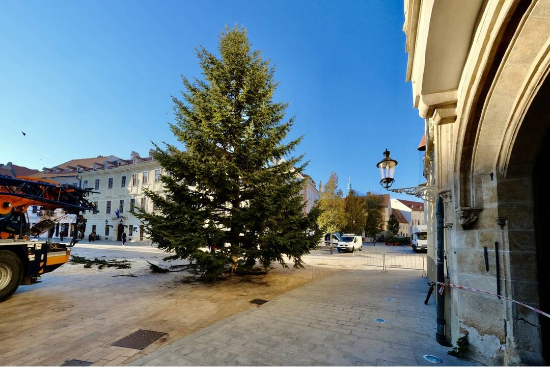 FOTO: Takto prevážali a stavali tohtoročný vianočný stromček v centre Bratislavy, foto 1