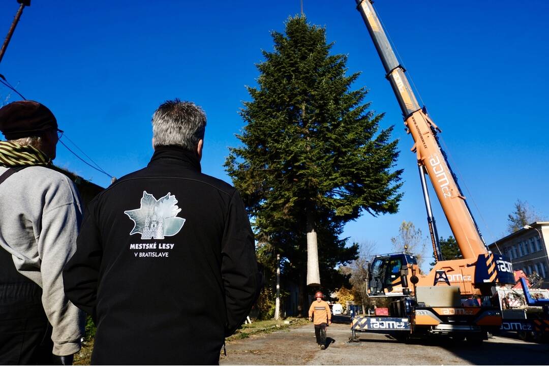 FOTO: Takto prevážali a stavali tohtoročný vianočný stromček v centre Bratislavy, foto 2