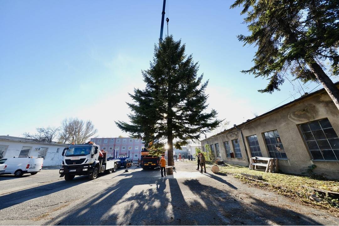 FOTO: Takto prevážali a stavali tohtoročný vianočný stromček v centre Bratislavy, foto 3