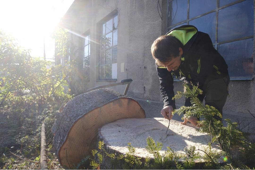 FOTO: Takto prevážali a stavali tohtoročný vianočný stromček v centre Bratislavy, foto 4