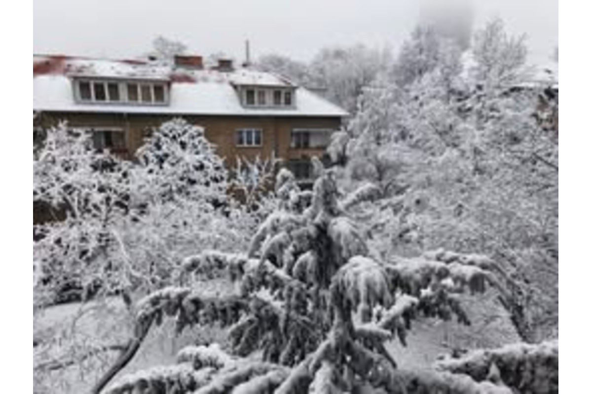 FOTO: Ružinov vyzerá ako z Mrázika. V Rači však sneh nepadal, foto 5