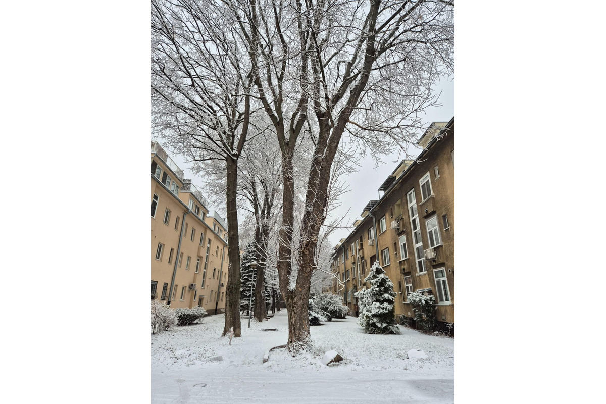 FOTO: Ružinov vyzerá ako z Mrázika. V Rači však sneh nepadal, foto 6