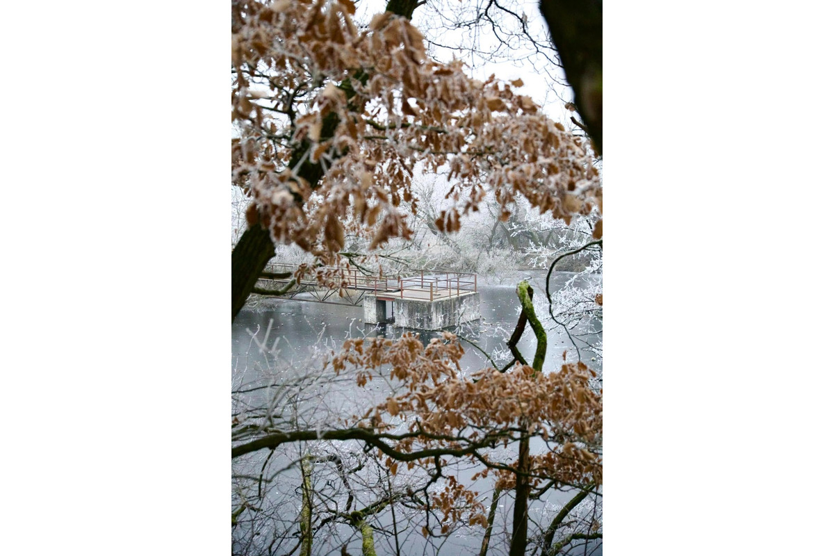 FOTO: Zima vymaľovala Vinohrady v Rači. Vyzerajú ako z Mrázika, foto 1