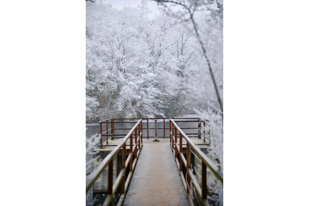FOTO: Zima vymaľovala Vinohrady v Rači. Vyzerajú ako z Mrázika, foto 3
