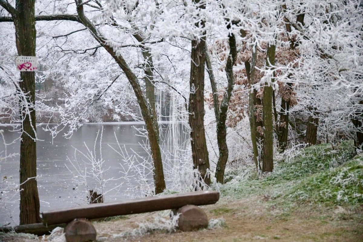 FOTO: Zima vymaľovala Vinohrady v Rači. Vyzerajú ako z Mrázika, foto 5