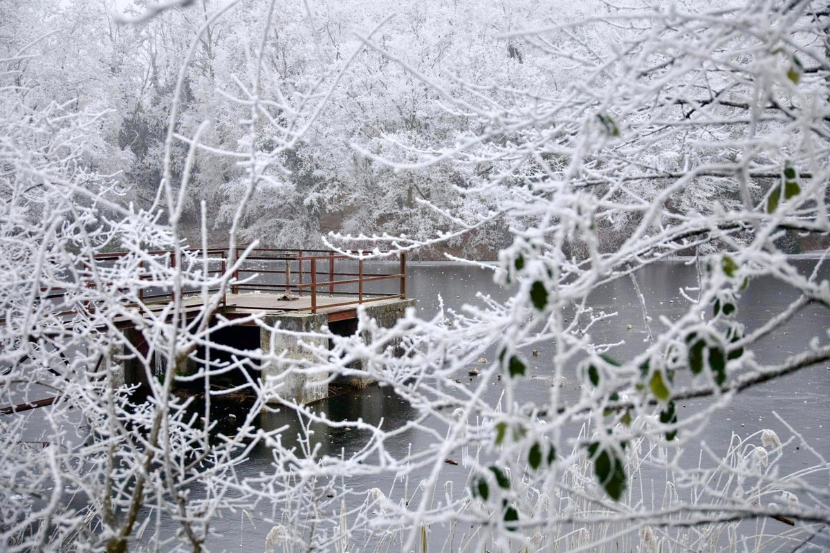 FOTO: Zima vymaľovala Vinohrady v Rači. Vyzerajú ako z Mrázika, foto 6