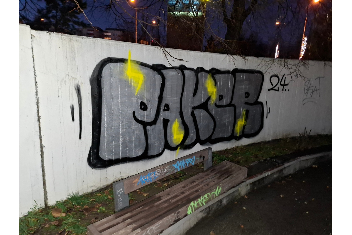 FOTO: Ružinovčanka varuje: Malí vandali ničia Hlinkov park, foto 3