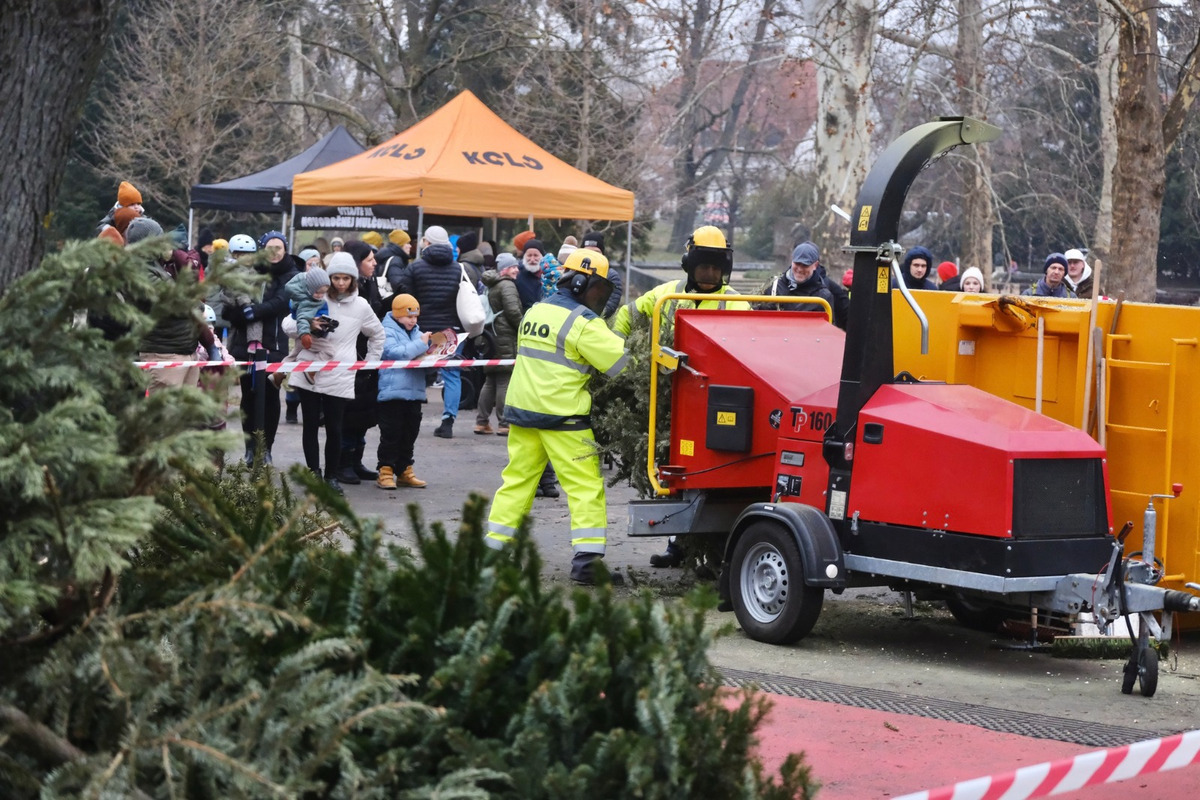 FOTO: Novoročná mulčovačka 2025 v Sade Janka Kráľa v Petržalke, foto 1