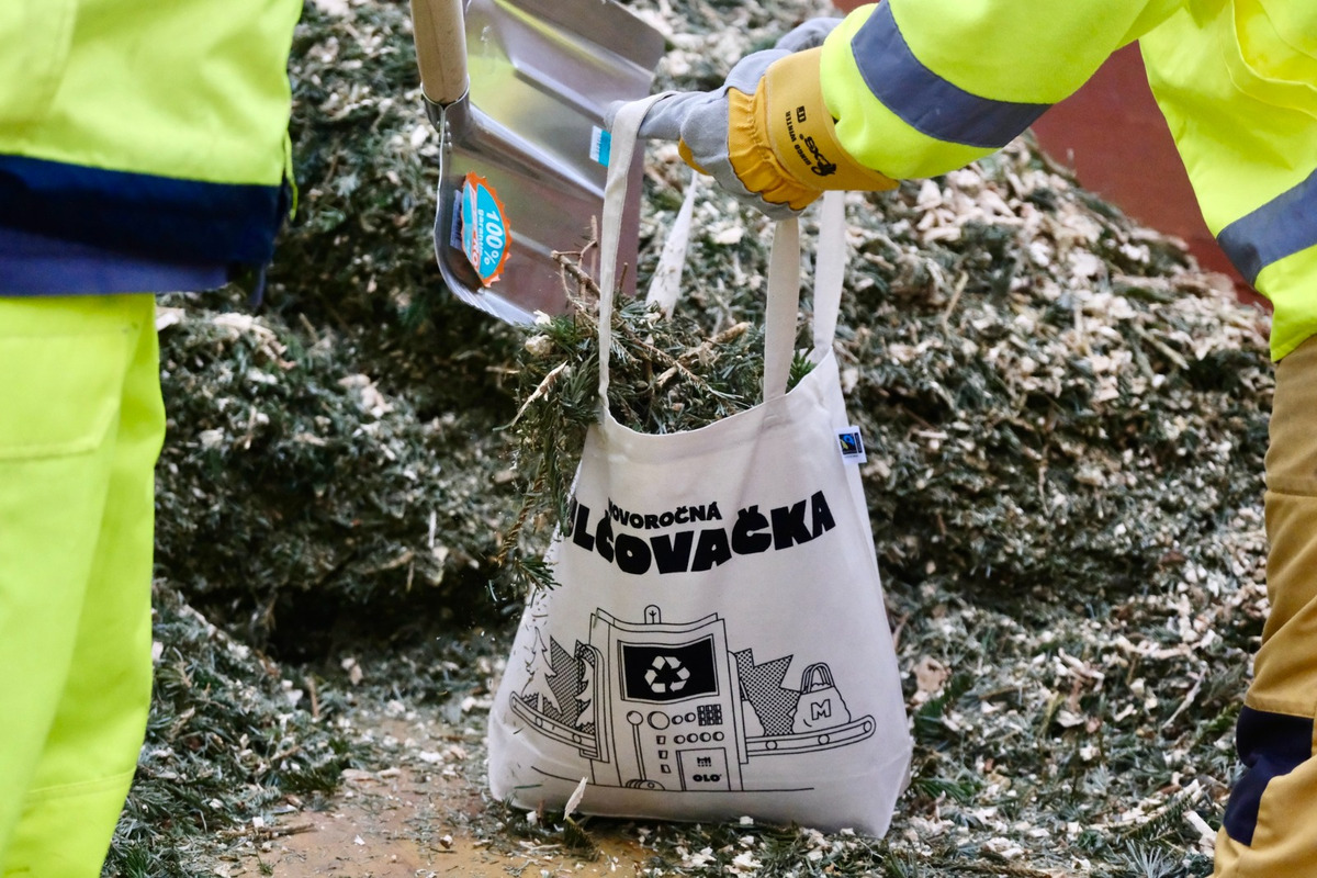 FOTO: Novoročná mulčovačka 2025 v Sade Janka Kráľa v Petržalke, foto 2