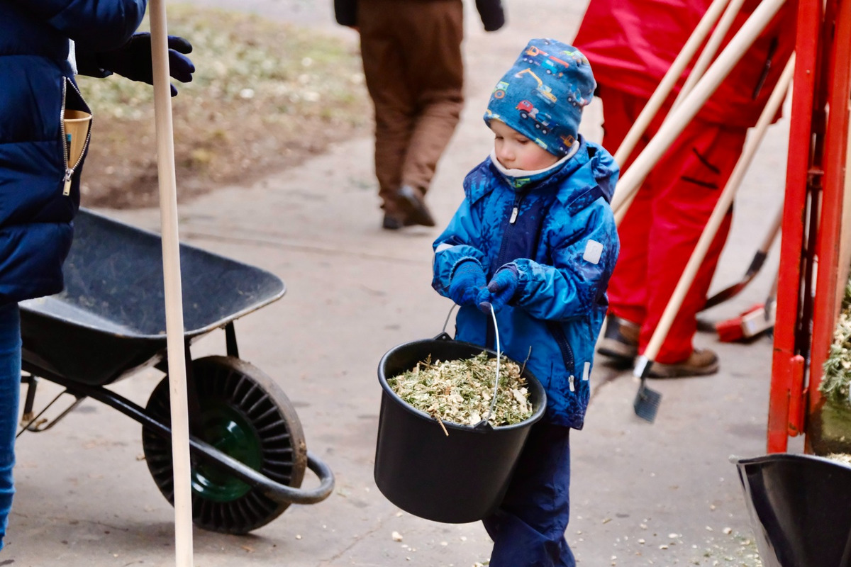 FOTO: Novoročná mulčovačka 2025 v Sade Janka Kráľa v Petržalke, foto 11