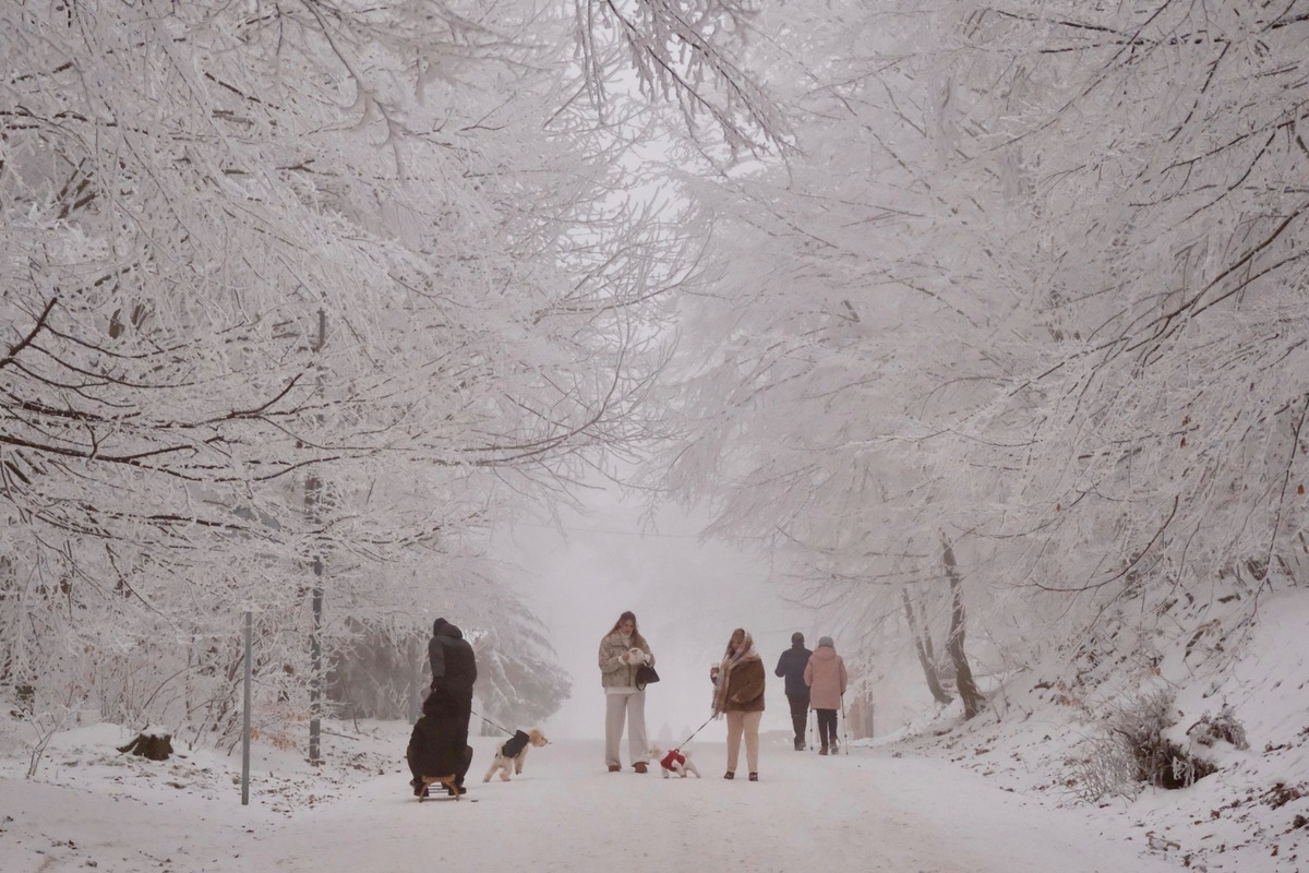 FOTO: Hmla nevadí, boby to istia! Takto vyzerajú večerné sánkovačky na Kamzíku, foto 7