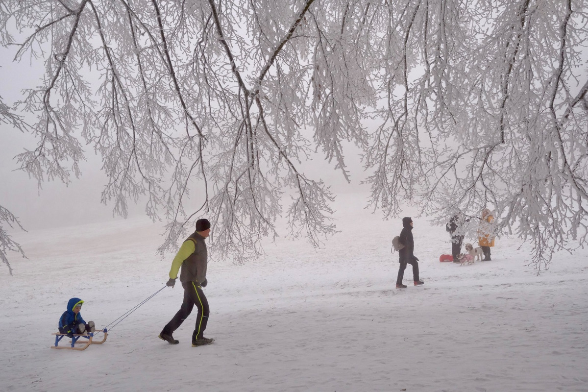 FOTO: Hmla nevadí, boby to istia! Takto vyzerajú večerné sánkovačky na Kamzíku, foto 8