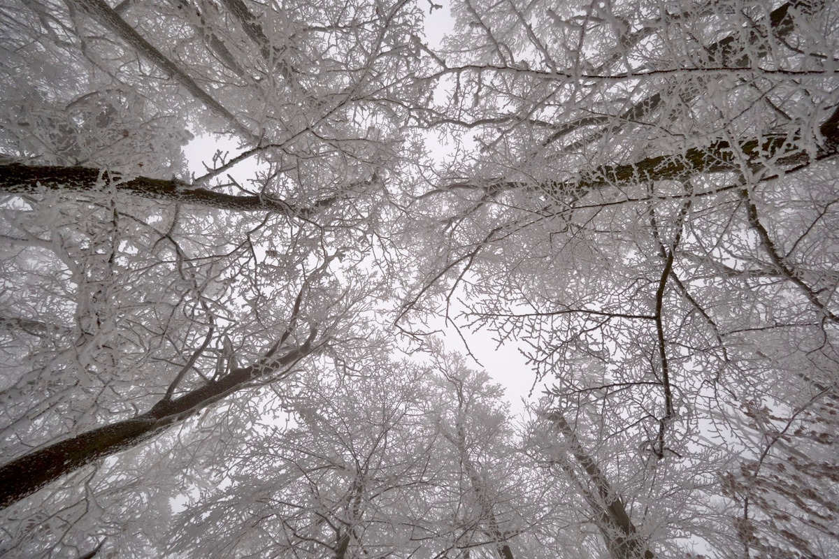 FOTO: Hmla nevadí, boby to istia! Takto vyzerajú večerné sánkovačky na Kamzíku, foto 9