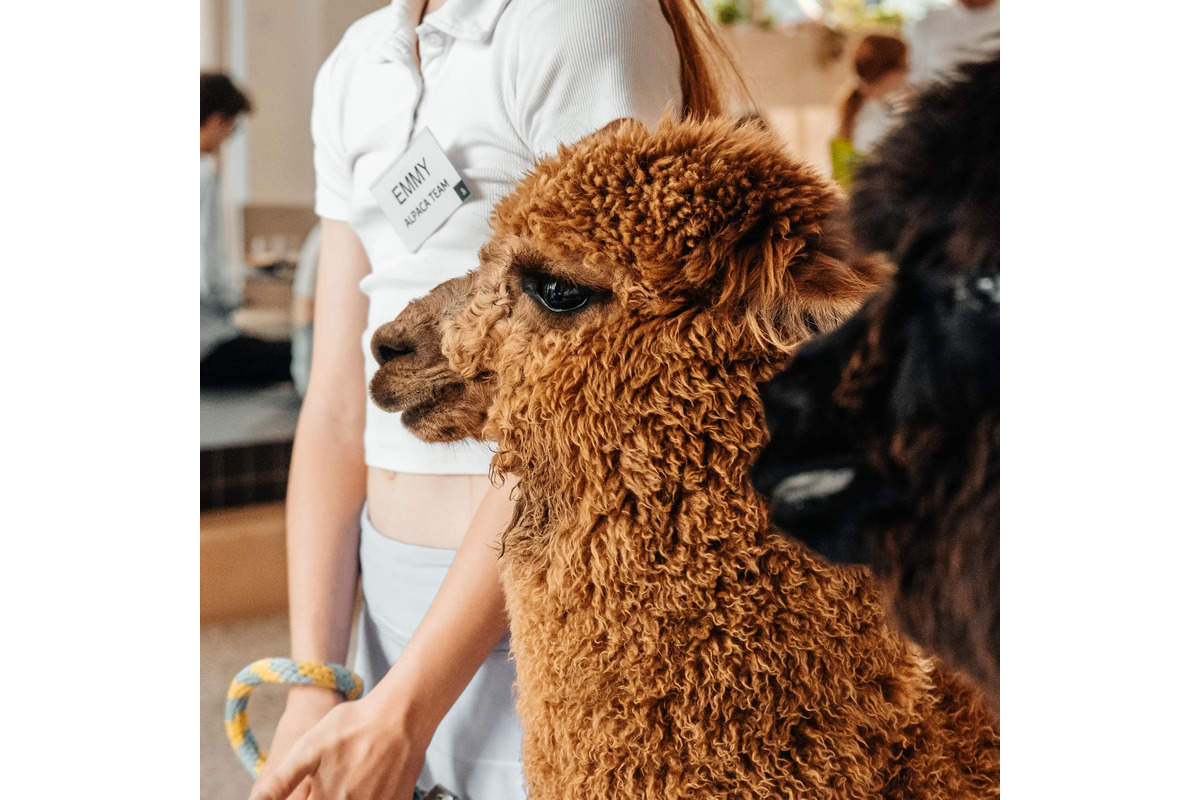 FOTO: Bistro Bite&Byte na Plynárenskej končí, foto 6