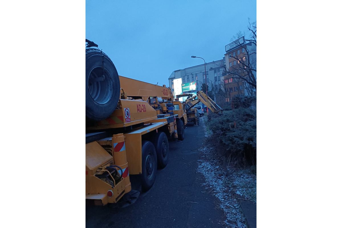 FOTO: Nelegálny výrub stromov na Šancovej ulici , foto 2