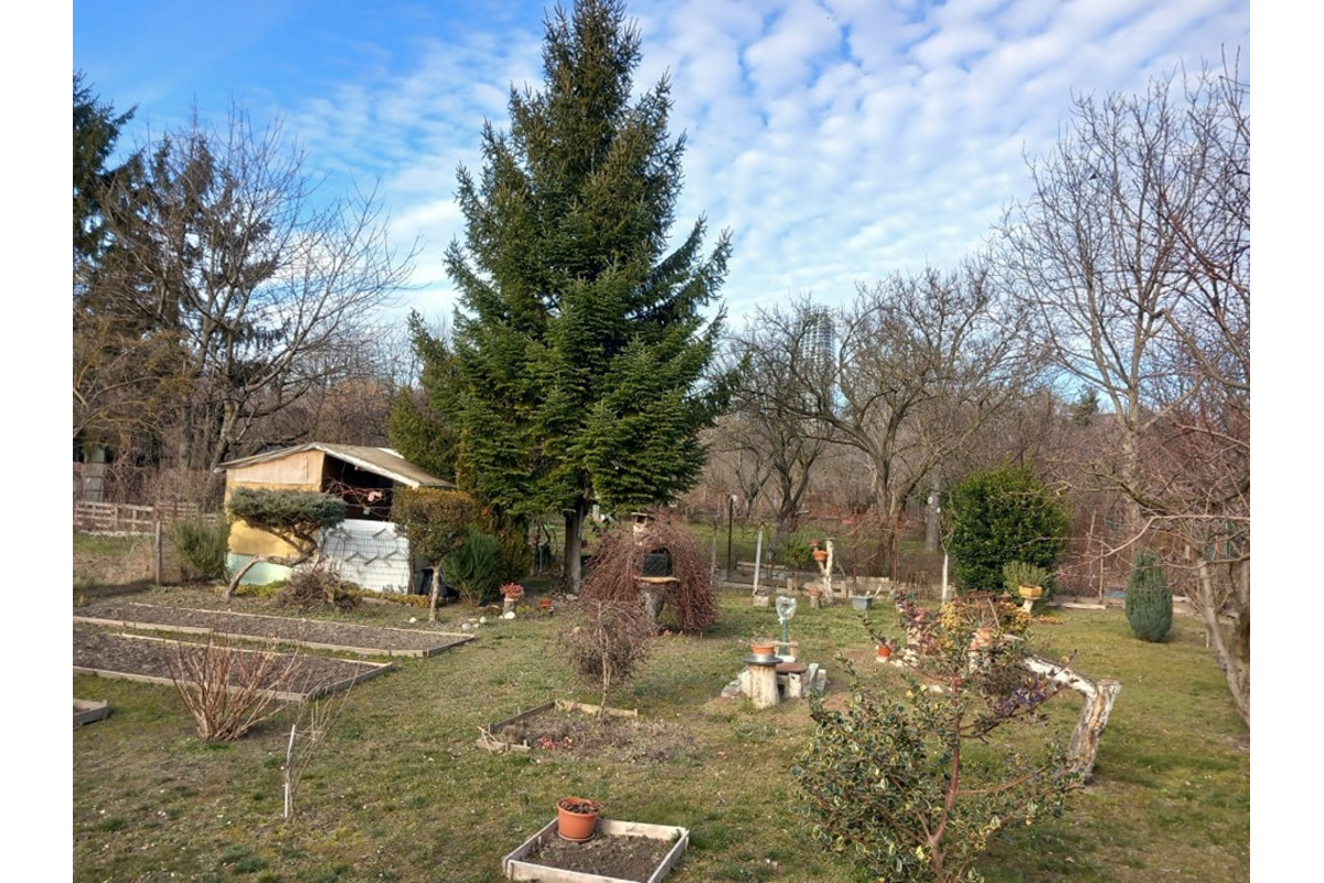 FOTO: Odvrátená tvár Nového lida. Ako vyzerá aktuálne?, foto 8