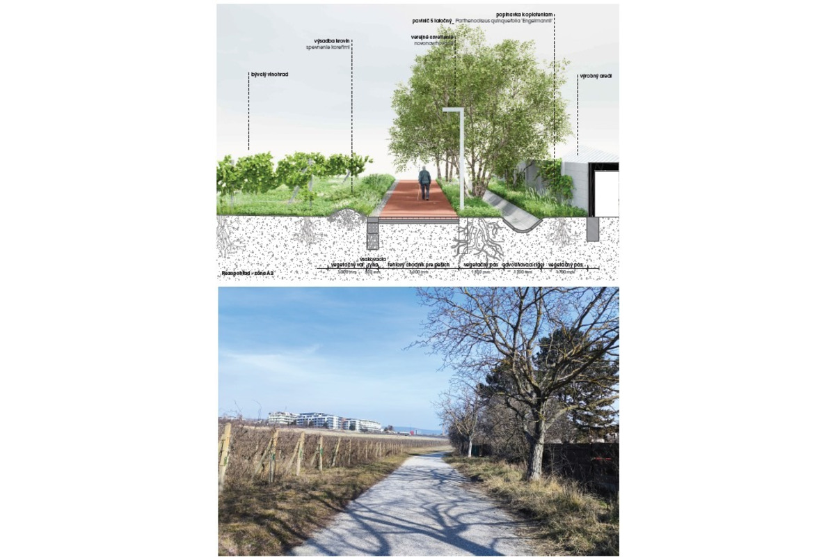 FOTO: Ako bude vyzerať račianske korzo po obnove?, foto 2