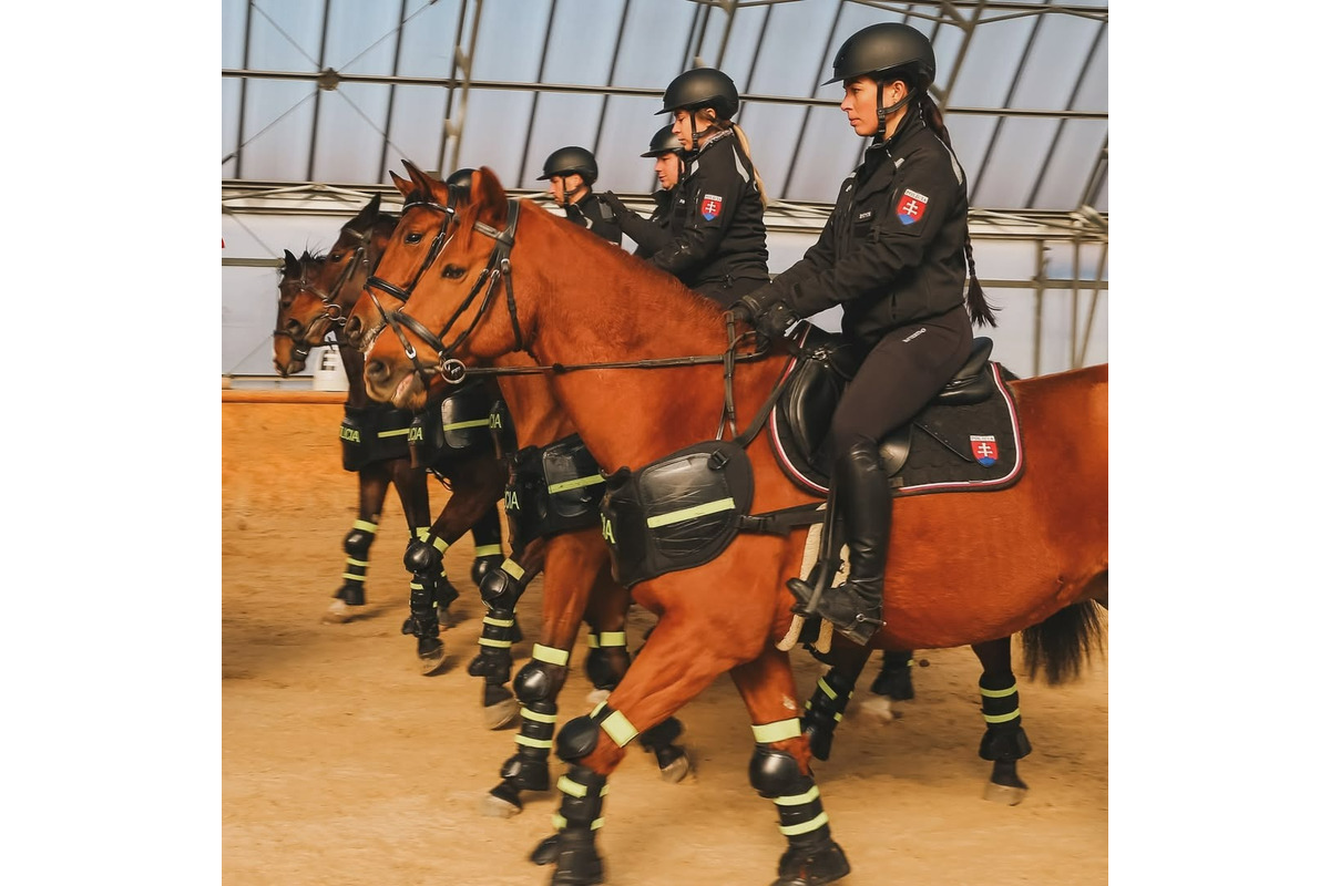 FOTO: Výcvik policajných zvierat, foto 4