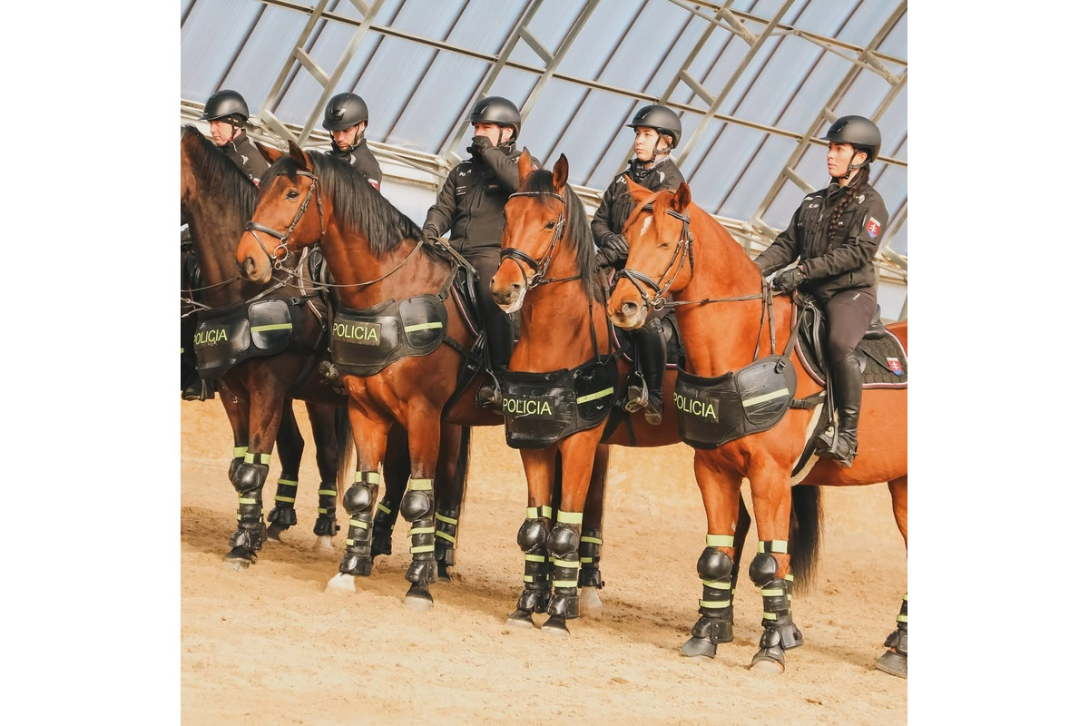 FOTO: Výcvik policajných zvierat, foto 8