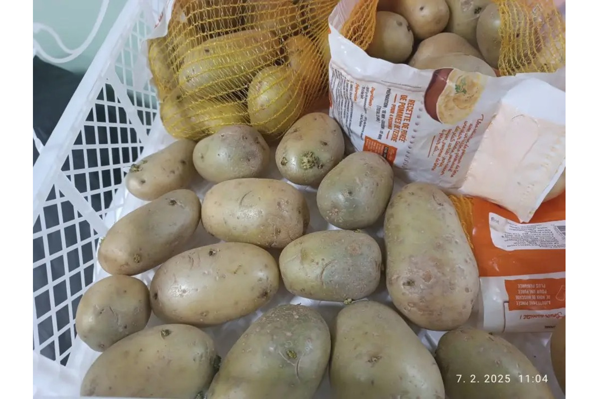 FOTO: Inšpektori kontrolovali predajne potravín. Našli v nich pleseň, špinu aj papriku plnú pesticídov, foto 7