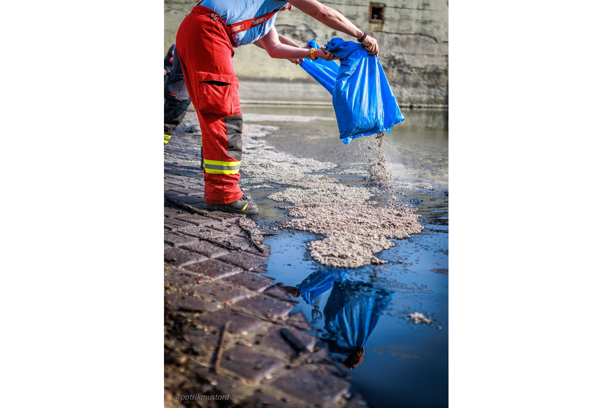 FOTO: Ružinovský prístav potrápila ropná škvrna, museli zasiahnuť hasiči, foto 12