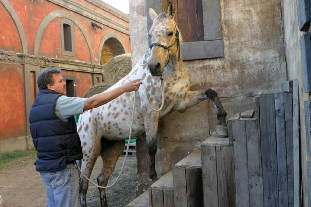 FOTO: Peter Andy Hric, foto 4