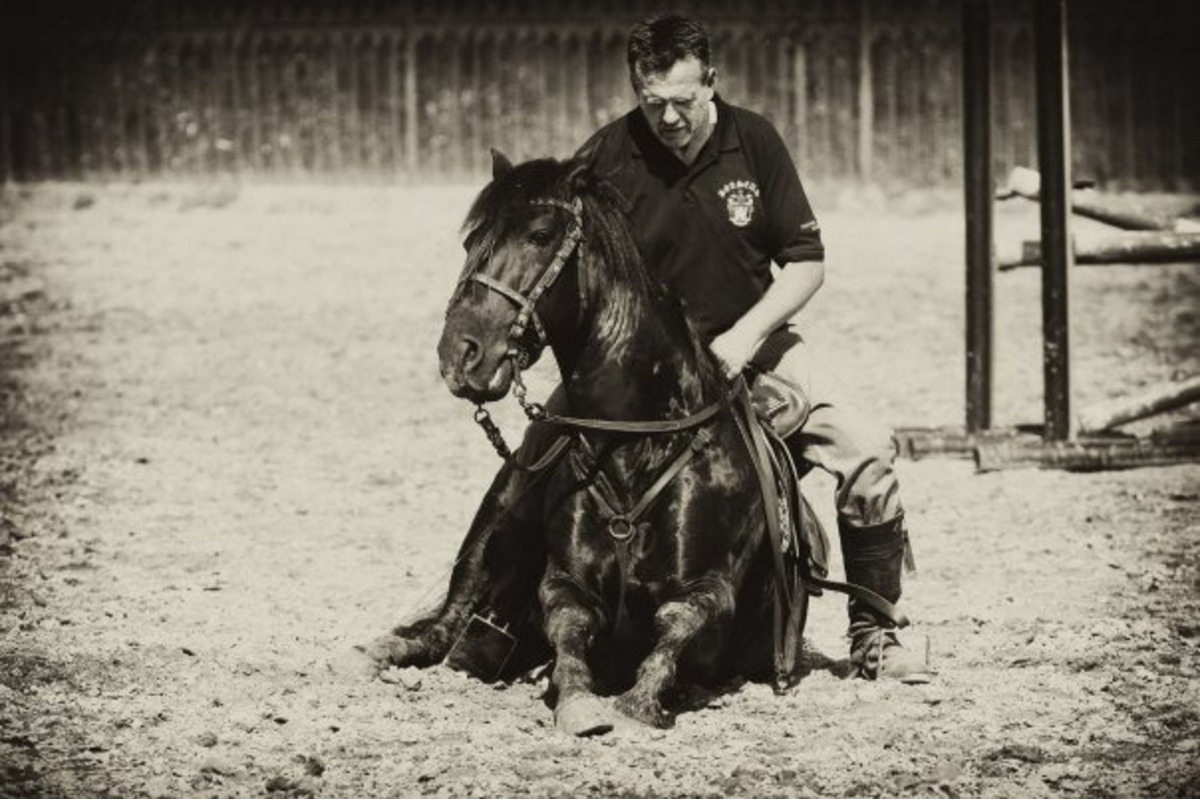 FOTO: Peter Andy Hric, foto 8