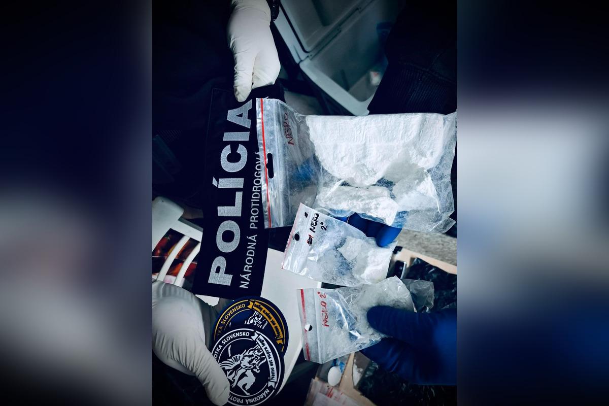FOTO: Polícia zadržala muža, ktorý pašoval 9 kíl kokaínu, foto 1