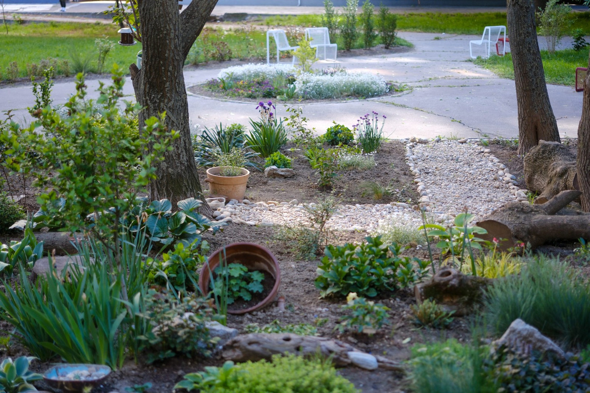 FOTO: Toto sú najkrajšie predzáhradky v Bratislave, foto 1