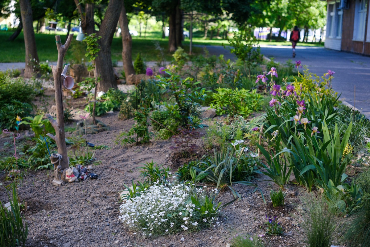 FOTO: Toto sú najkrajšie predzáhradky v Bratislave, foto 2