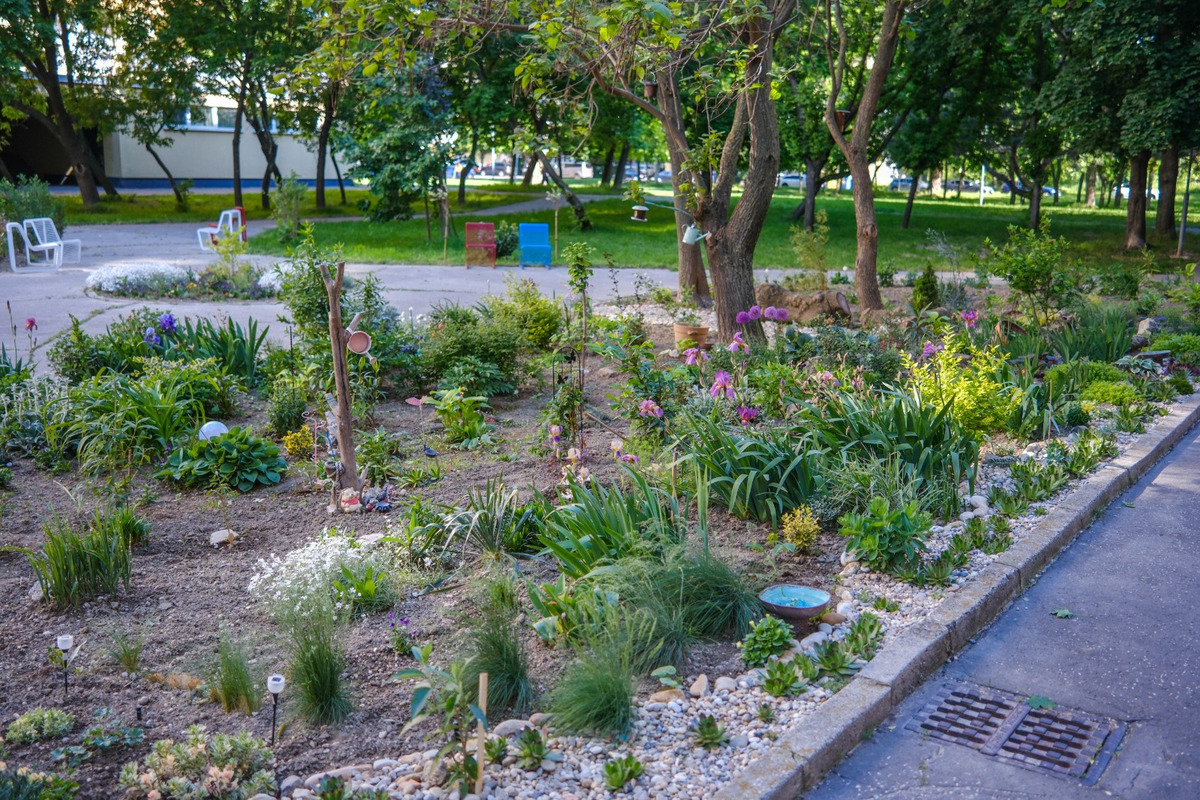 FOTO: Toto sú najkrajšie predzáhradky v Bratislave, foto 3