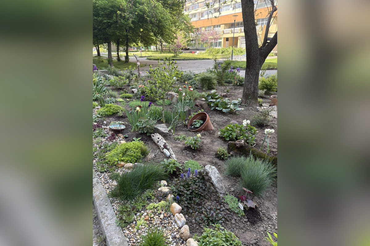 FOTO: Toto sú najkrajšie predzáhradky v Bratislave, foto 4