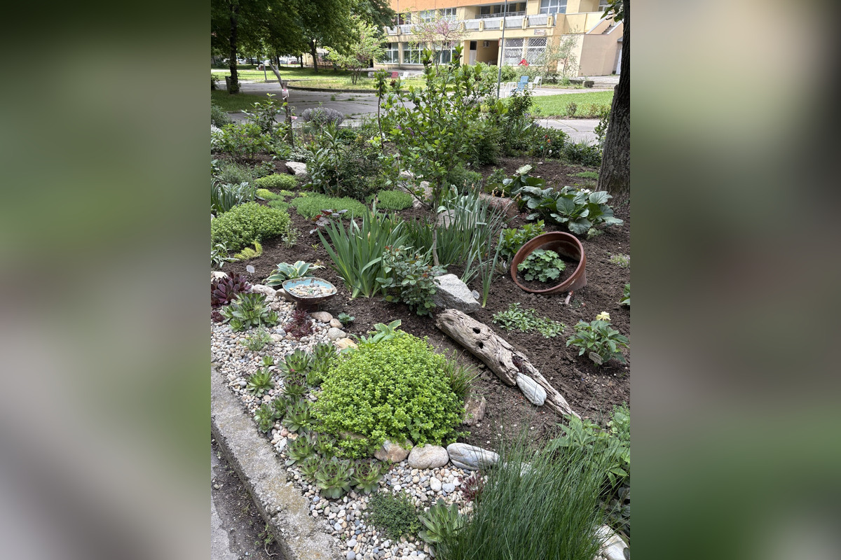 FOTO: Toto sú najkrajšie predzáhradky v Bratislave, foto 5