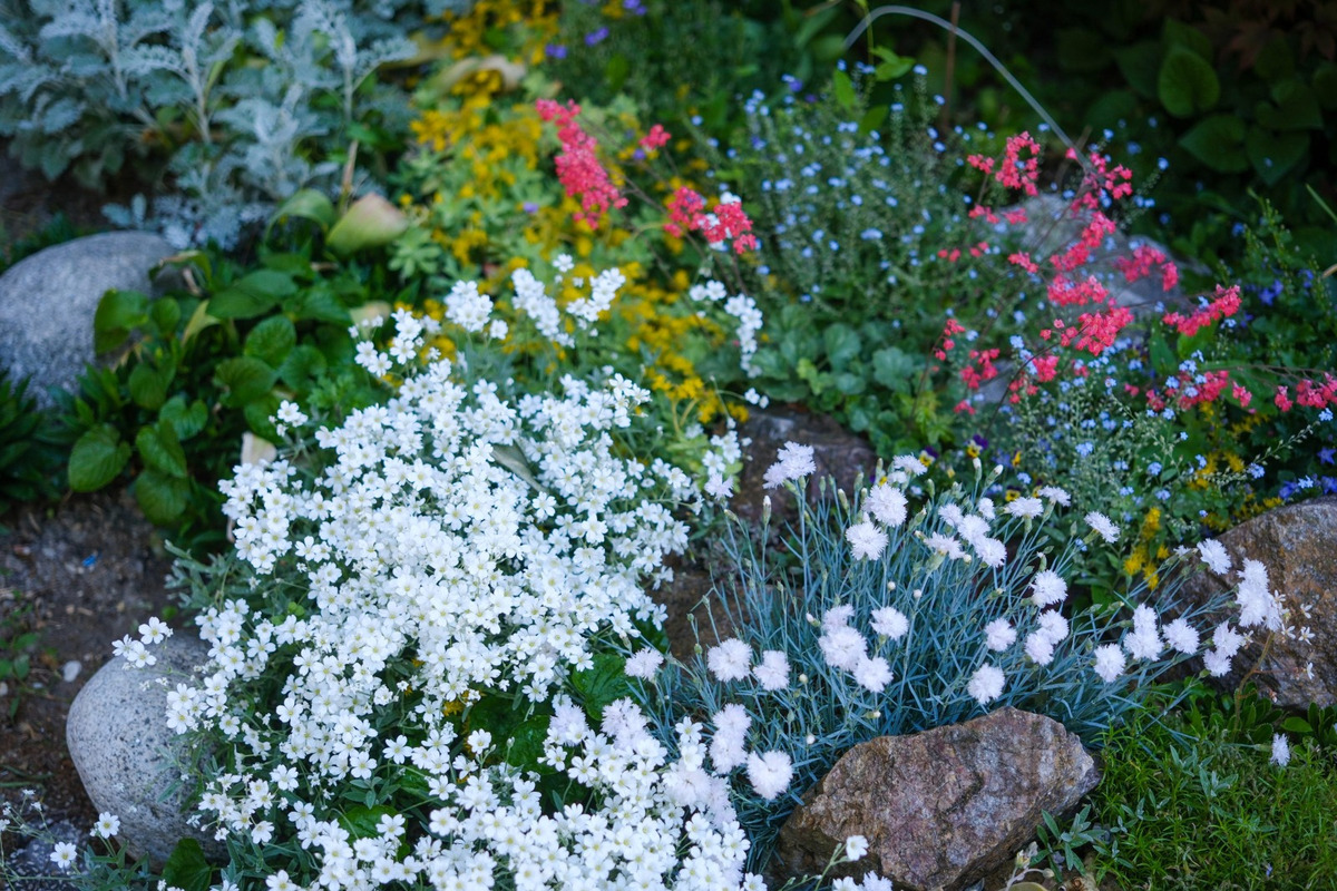 FOTO: Toto sú najkrajšie predzáhradky v Bratislave, foto 6