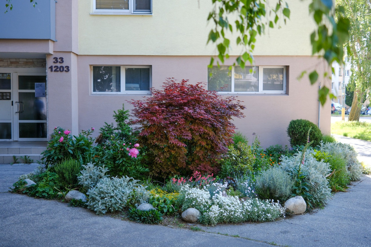 FOTO: Toto sú najkrajšie predzáhradky v Bratislave, foto 7