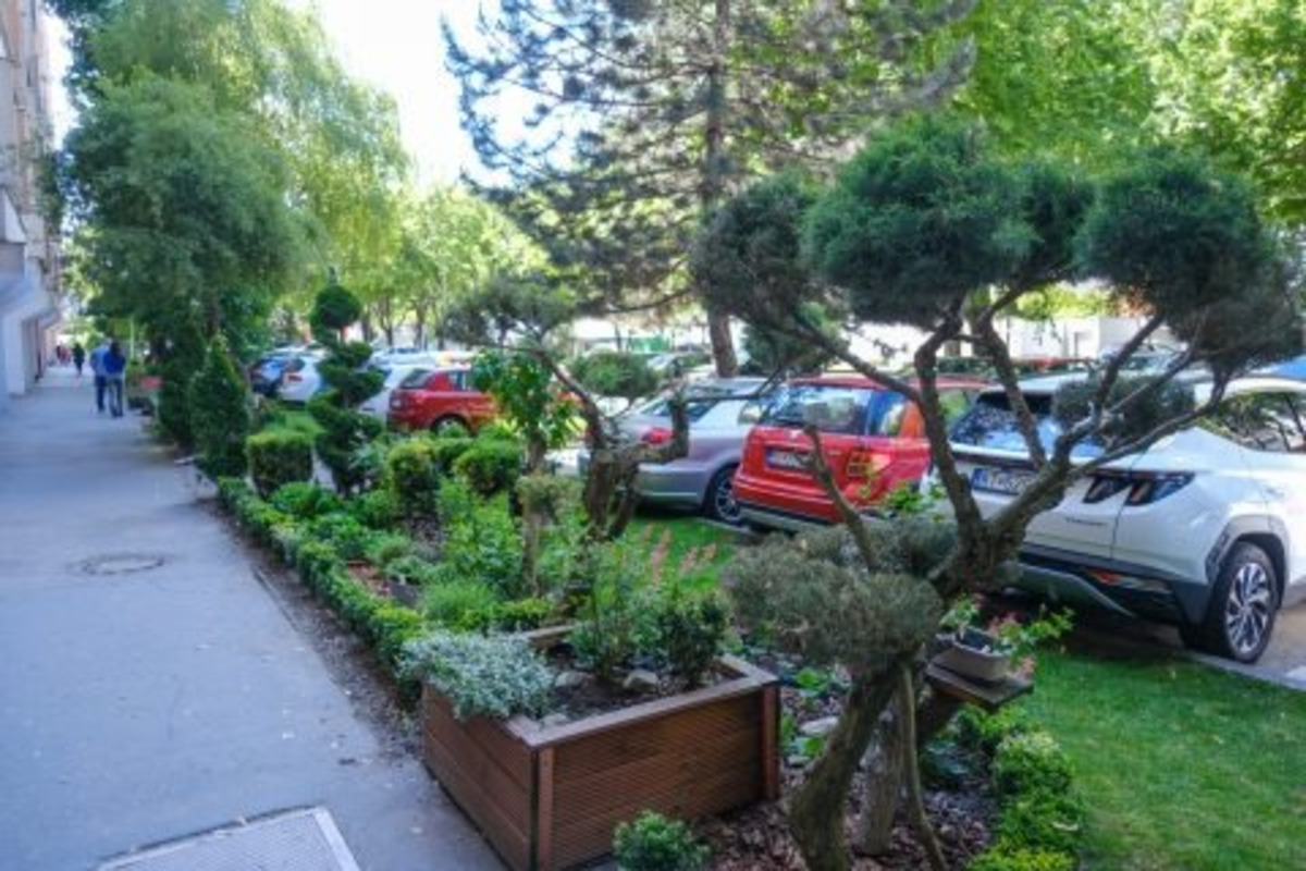 FOTO: Toto sú najkrajšie predzáhradky v Bratislave, foto 9