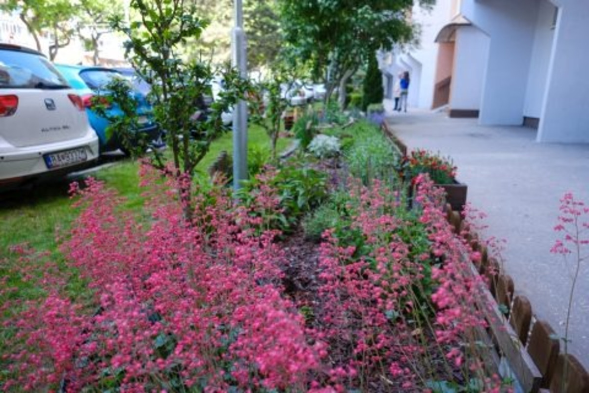 FOTO: Toto sú najkrajšie predzáhradky v Bratislave, foto 11