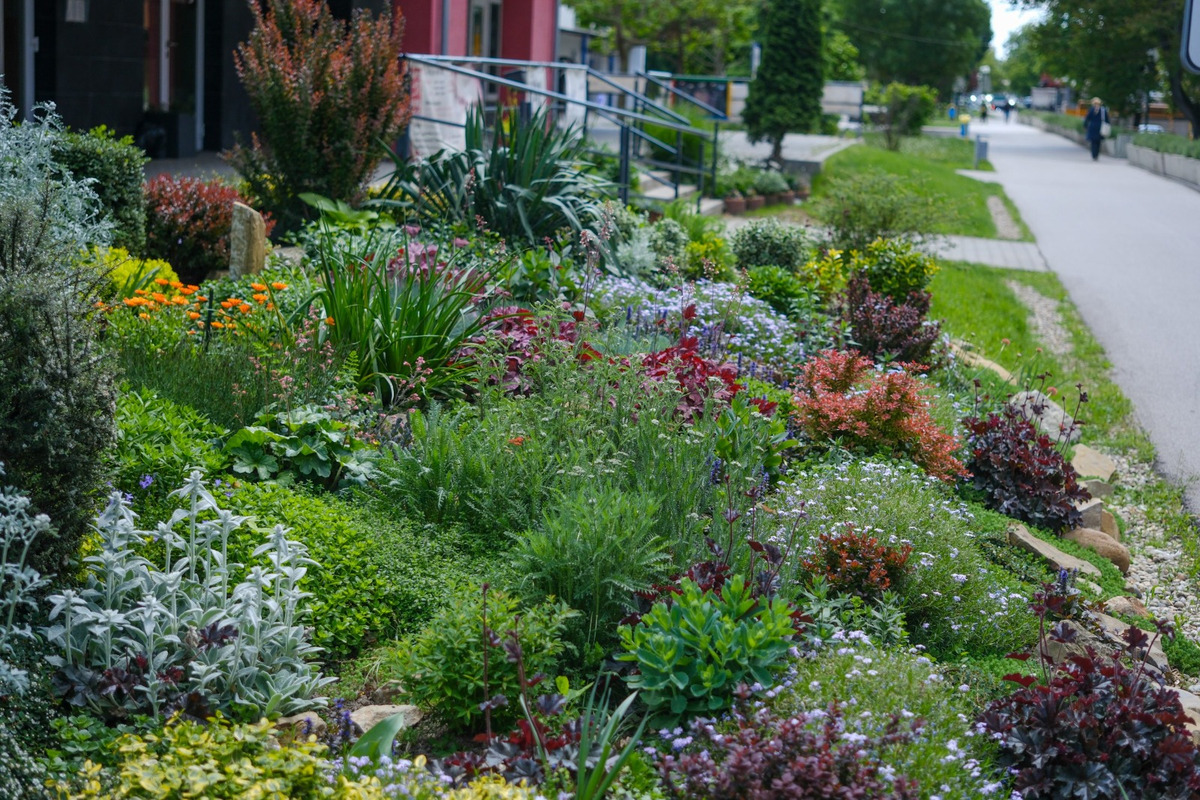 FOTO: Toto sú najkrajšie predzáhradky v Bratislave, foto 12