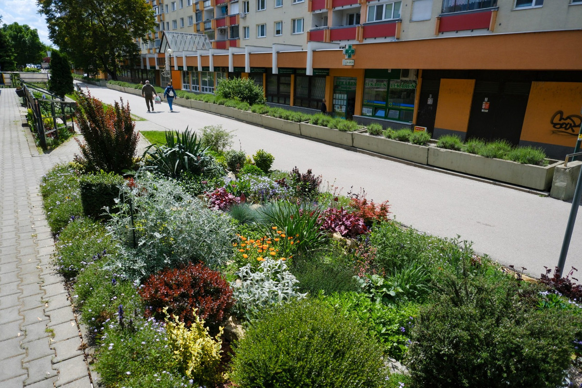 FOTO: Toto sú najkrajšie predzáhradky v Bratislave, foto 13