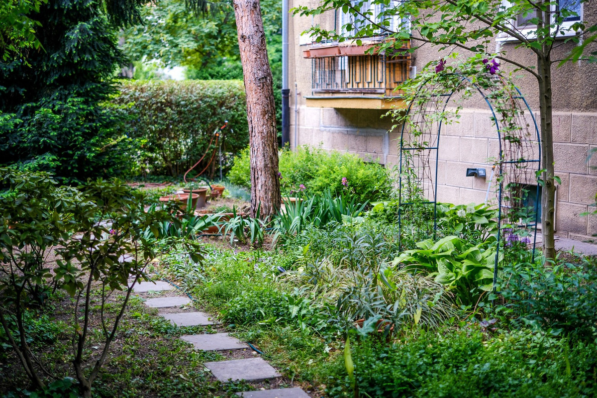 FOTO: Toto sú najkrajšie predzáhradky v Bratislave, foto 15