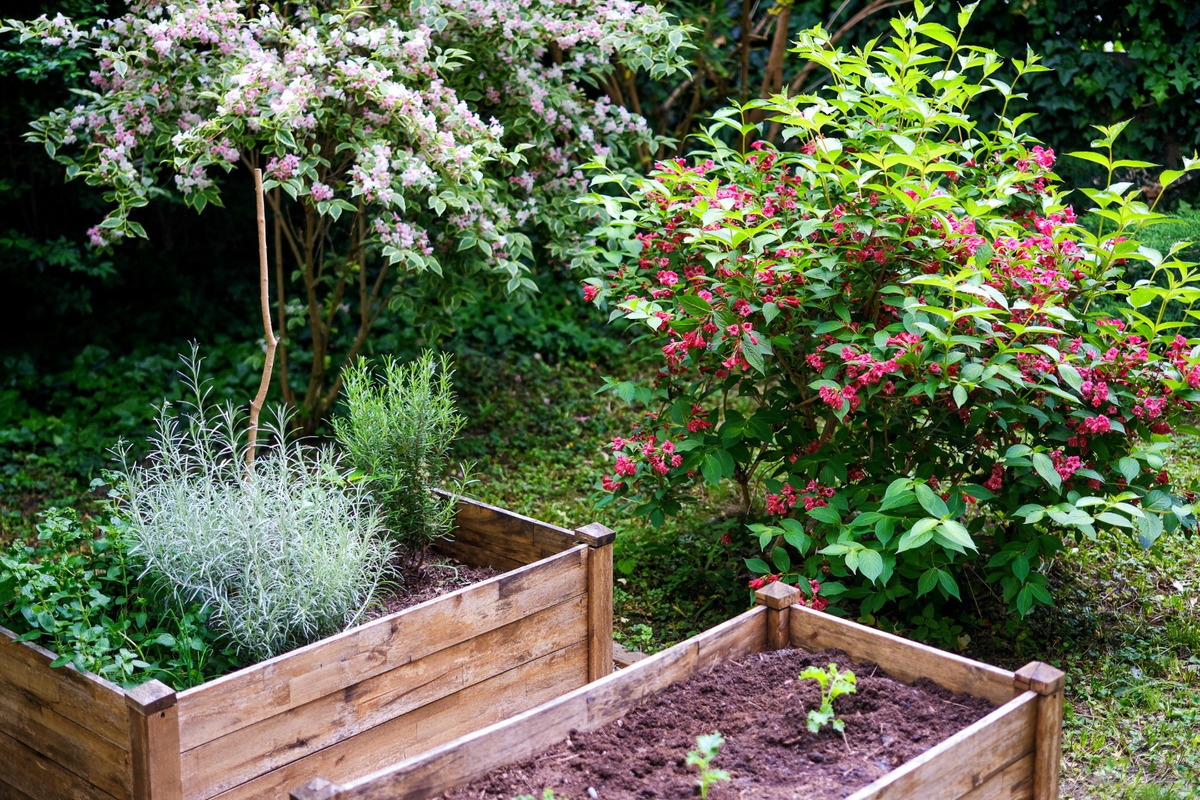 FOTO: Toto sú najkrajšie predzáhradky v Bratislave, foto 16