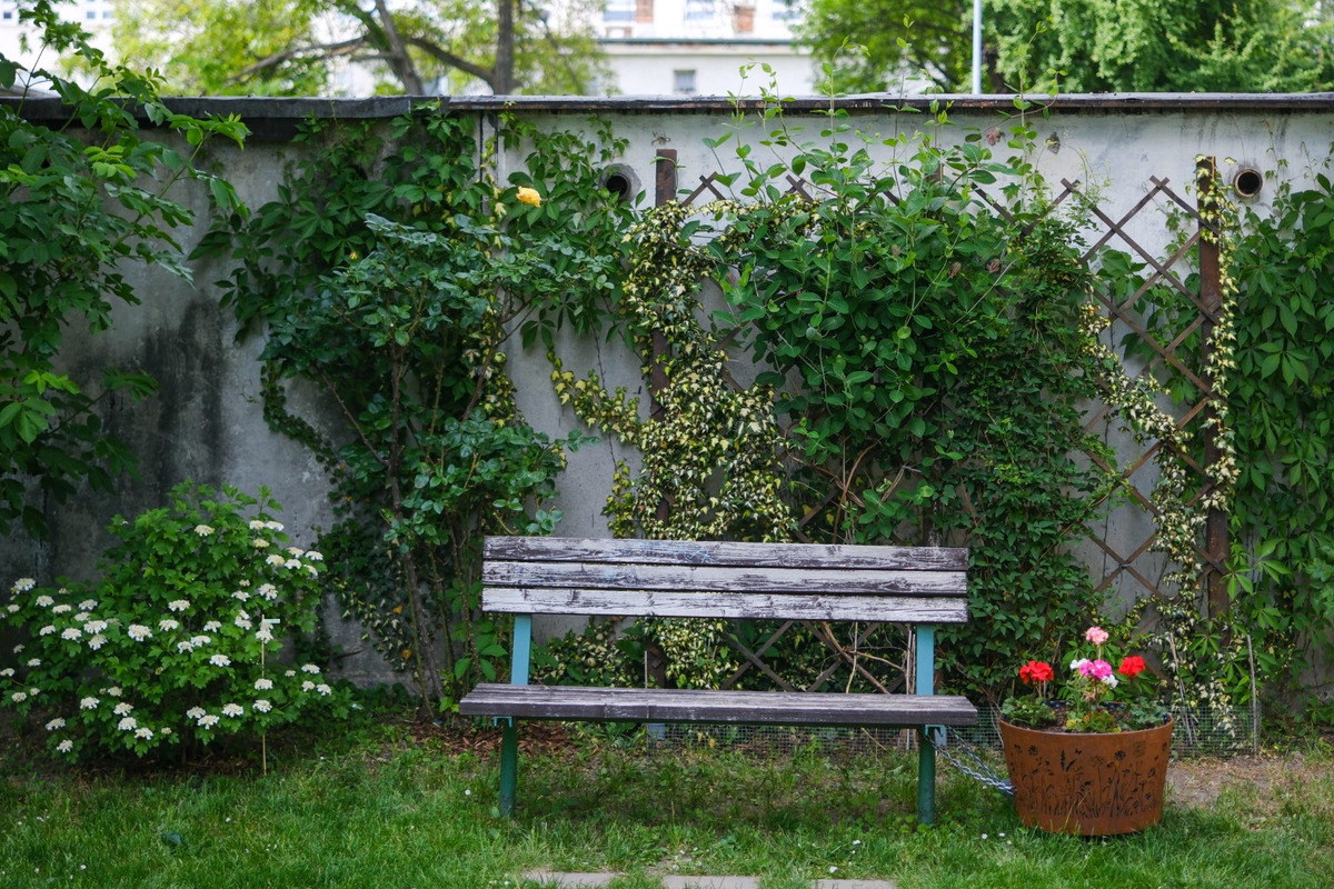 FOTO: Toto sú najkrajšie predzáhradky v Bratislave, foto 19