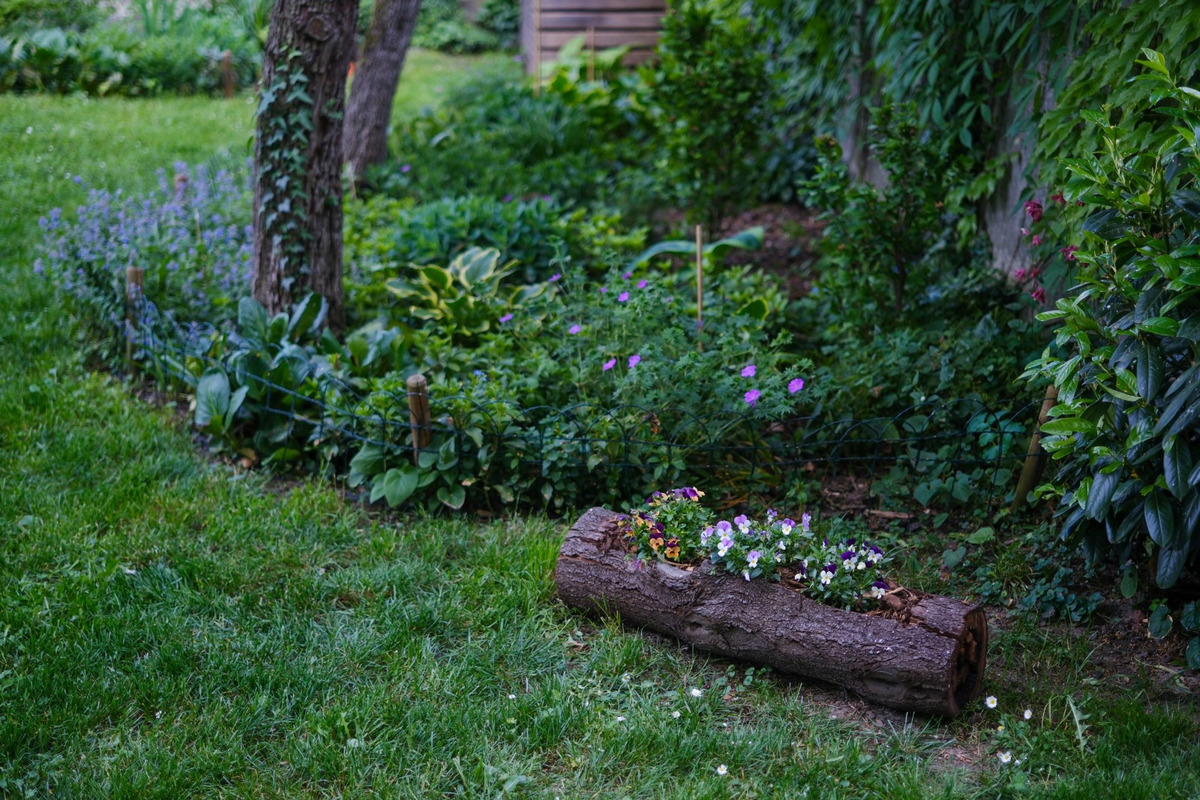 FOTO: Toto sú najkrajšie predzáhradky v Bratislave, foto 20