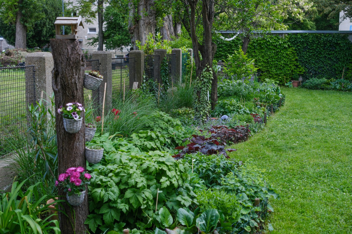 FOTO: Toto sú najkrajšie predzáhradky v Bratislave, foto 21