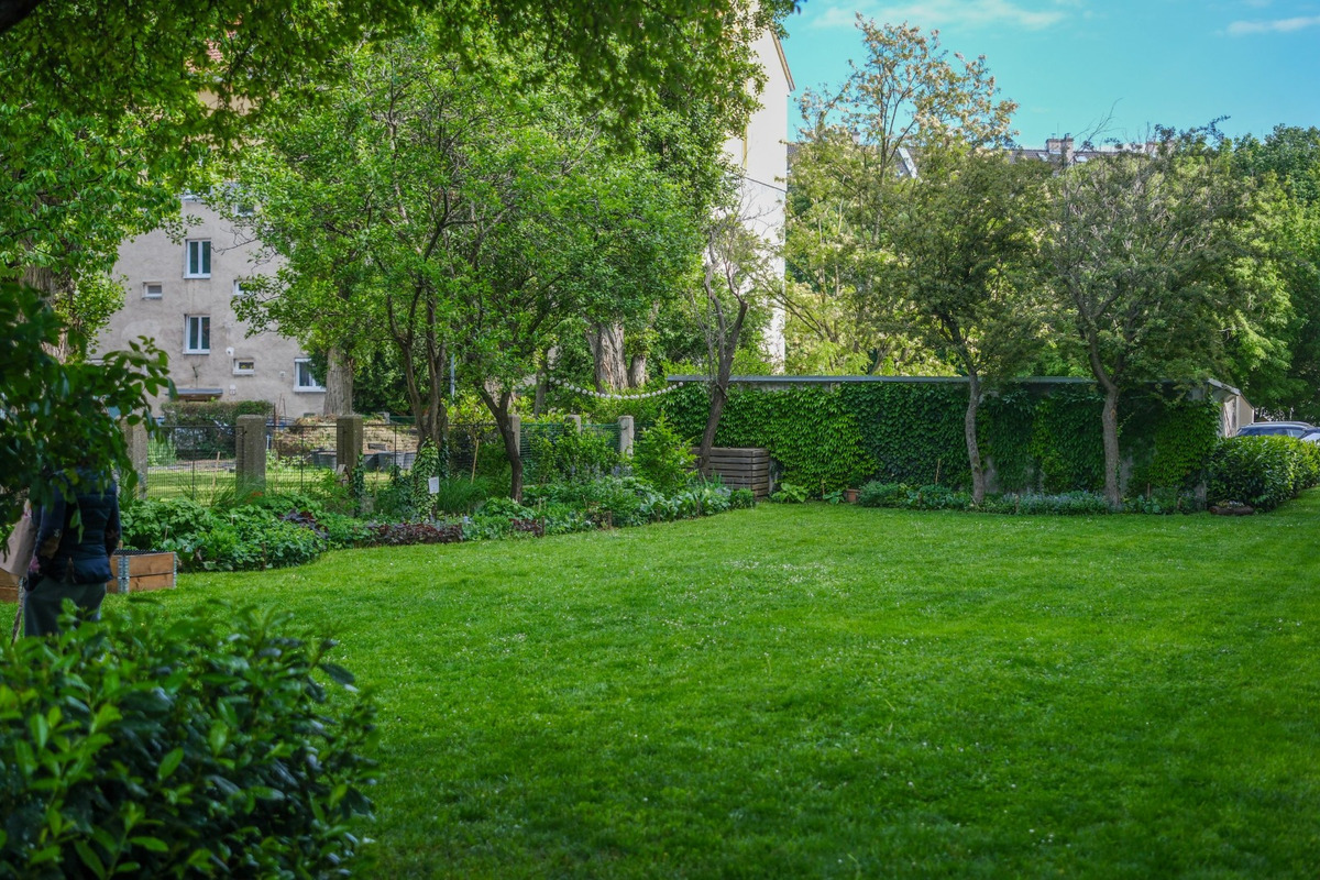 FOTO: Toto sú najkrajšie predzáhradky v Bratislave, foto 22