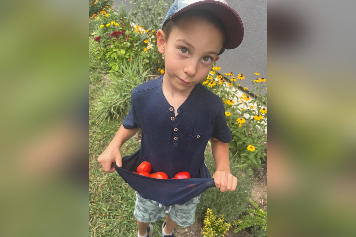 FOTO: Toto sú najkrajšie predzáhradky v Bratislave, foto 24