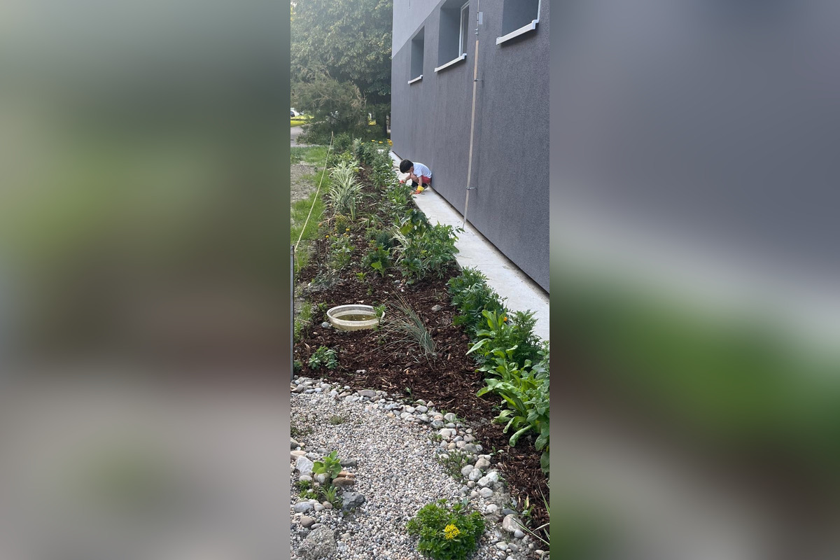 FOTO: Toto sú najkrajšie predzáhradky v Bratislave, foto 25